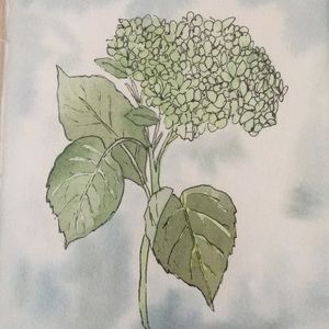 Meet your Posher, Marlene